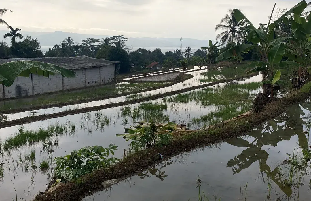 Local Village